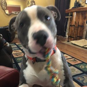 Meet your Posher, Paula